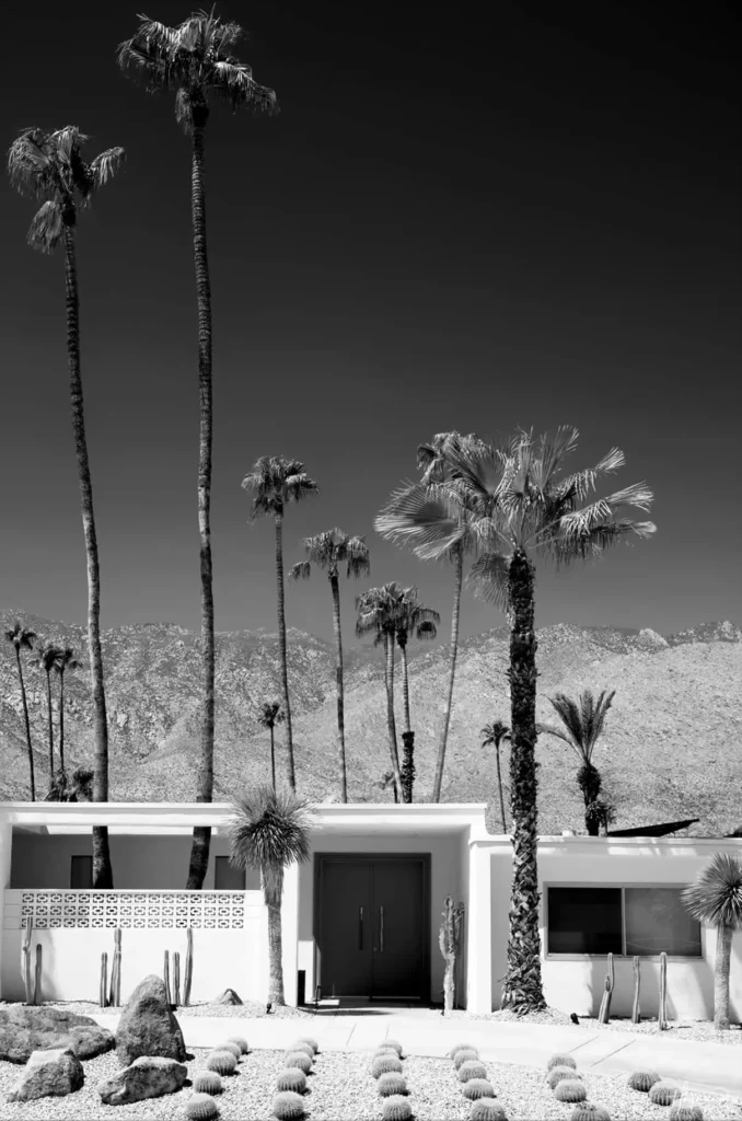 Palm Springs Retro Canvas for a Stylish Bedroom 