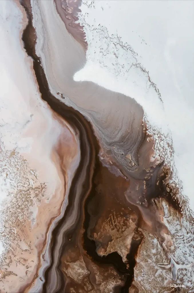 Earth-Tone Canvas