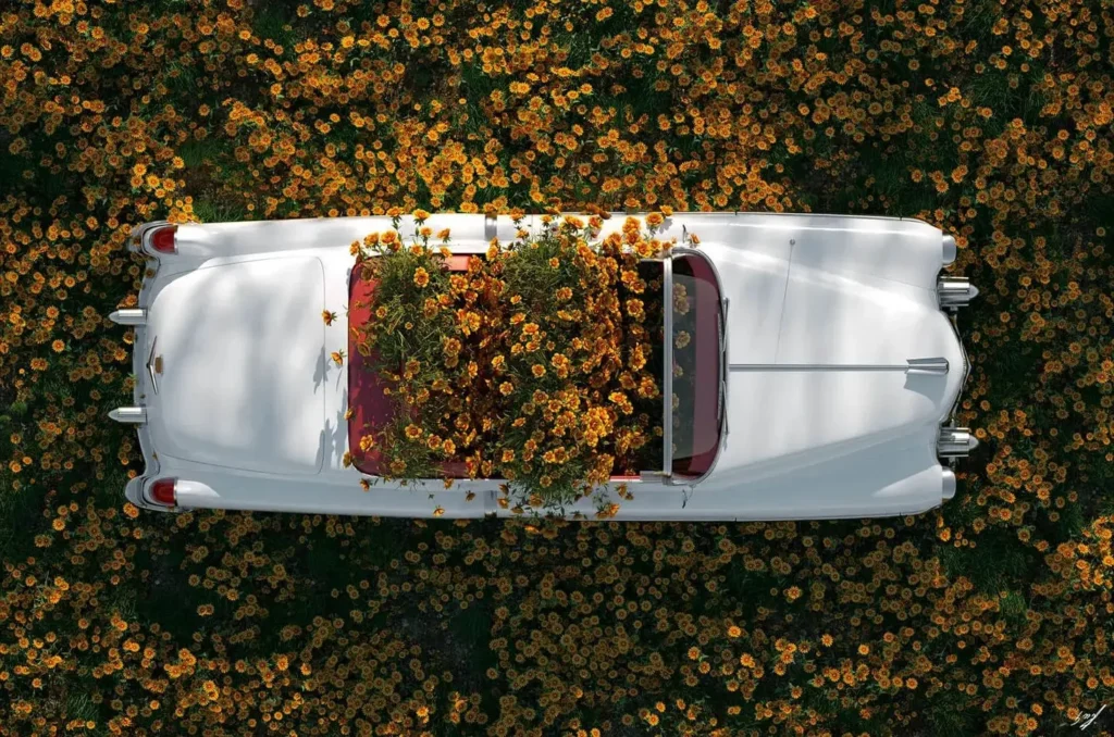 Surreal Flower and car canvas wall art