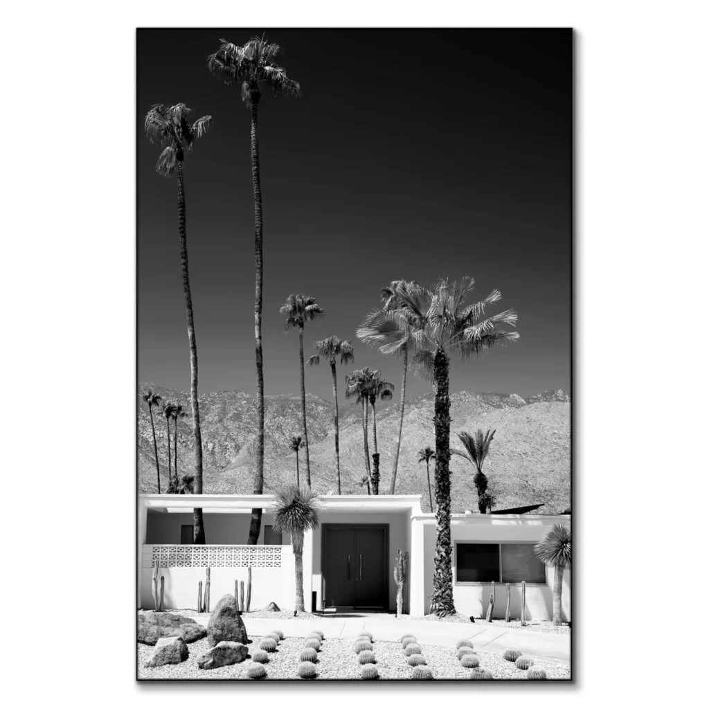 Palm Springs Retro Canvas for a Stylish Bedroom 