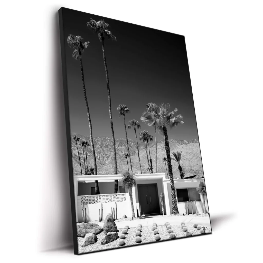 Palm Springs Retro Canvas for a Stylish Bedroom 
