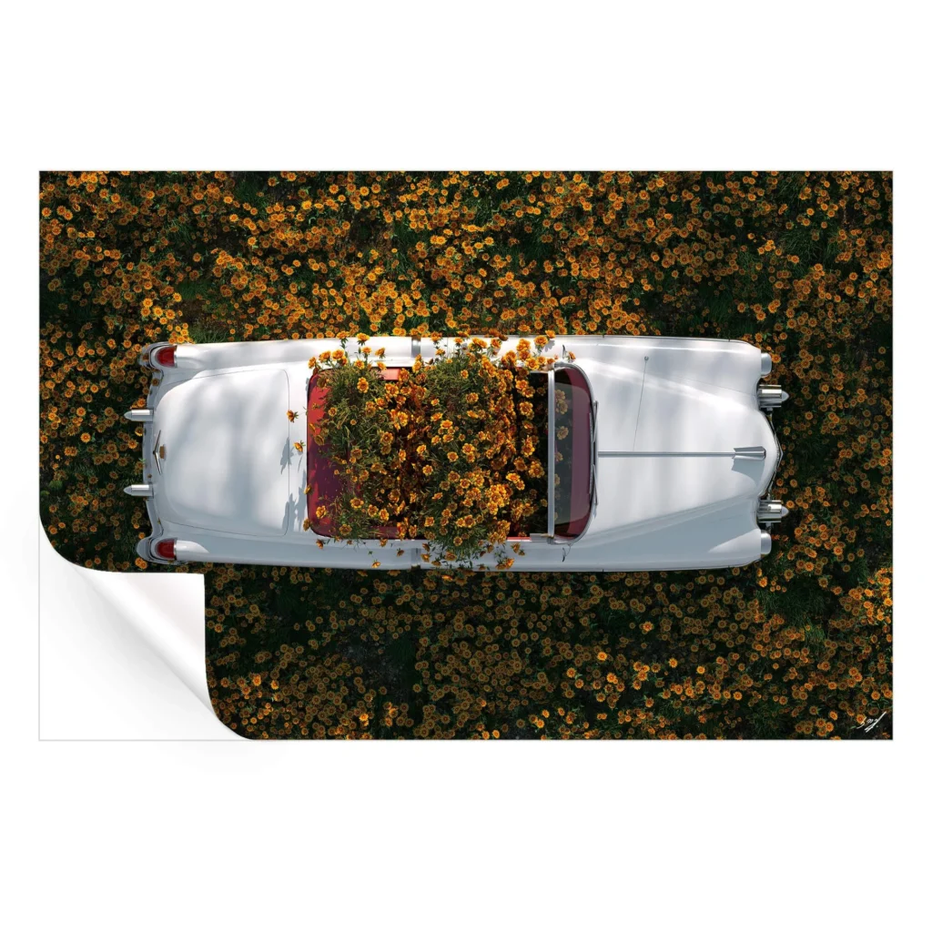 Surreal Flower and car canvas wall art